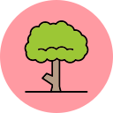 Árbol