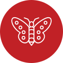 mariposa icon