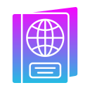 Заграничный пасспорт icon