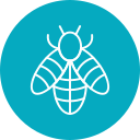 abeja icon