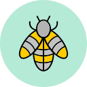 abeja icon