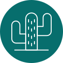 cactus icon