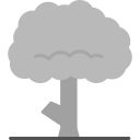 Árbol icon