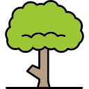 Árbol