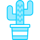 cactus icon