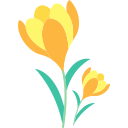 Crocus icon