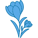 Crocus icon