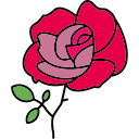 rosa