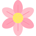 flor de cerezo icon