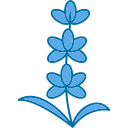 lavanda icon