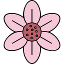 flor de cerezo 