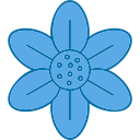 flor de cerezo icon