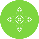 bouvardia icon