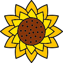 girasol