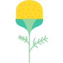 piña icon