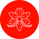 alstroemeria icon