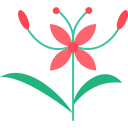 ixora icon