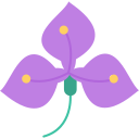 iris icon