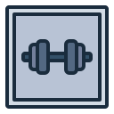 gimnasio icon