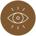 ojos icon