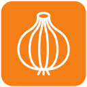 Onion icon