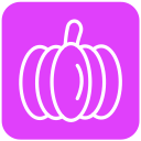 Pumpkin icon