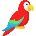 perroquet 