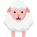 ovelha 