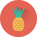 piña icon