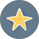 estrella de mar 