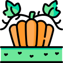 calabaza icon