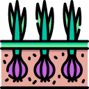 cebolla icon