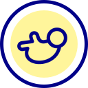 fötus 