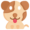 lengua icon