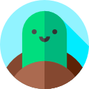 tortuga icon