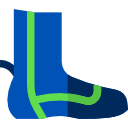 bota icon