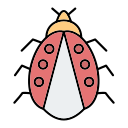 mariquita icon