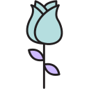 rosa icon