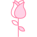 rosa