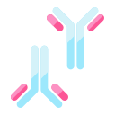 anticorps 