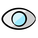 Eye
