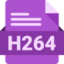 h264 icon