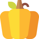 calabaza icon