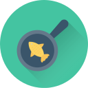 peixe frito 