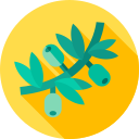 aceituna icon