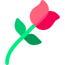 rosa icon