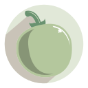 tomate icon