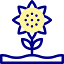 girasol icon