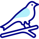 pájaro icon