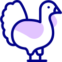 pavo icon